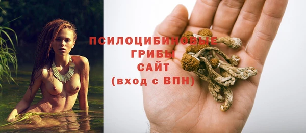 mdpv Зерноград